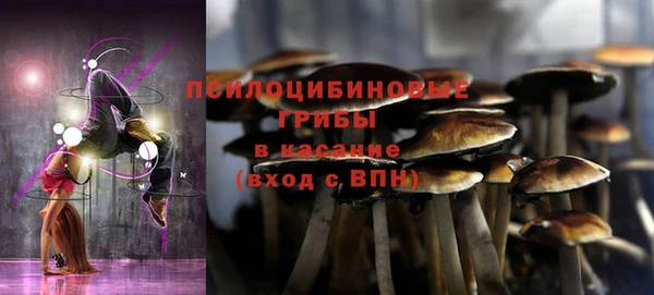 ECSTASY Бугульма