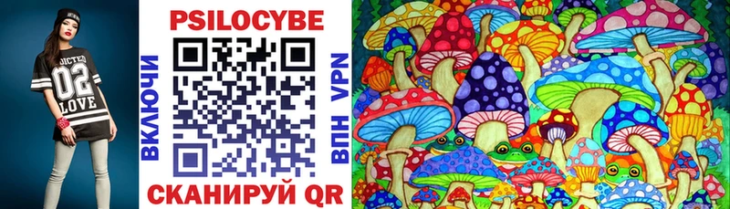 shop как зайти  Тихвин  Псилоцибиновые грибы Psilocybe  наркошоп 